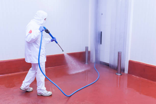 Best Driveway Pressure Washing  in Myersville, MD